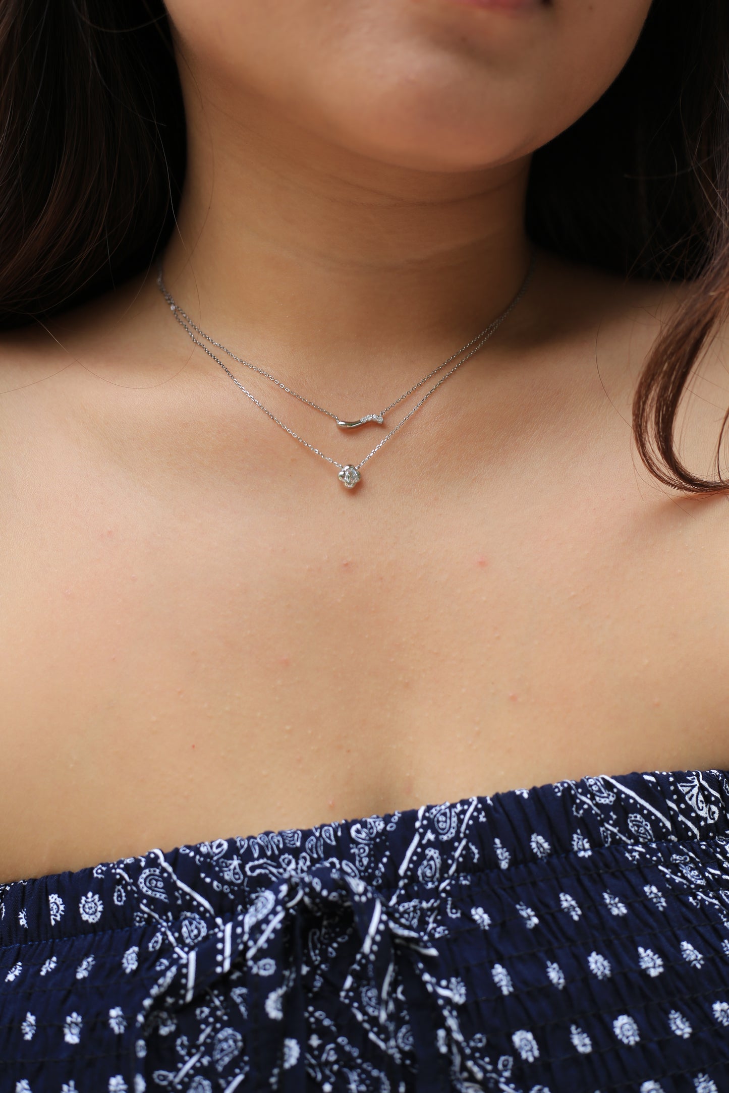 Double Line Silver Necklace