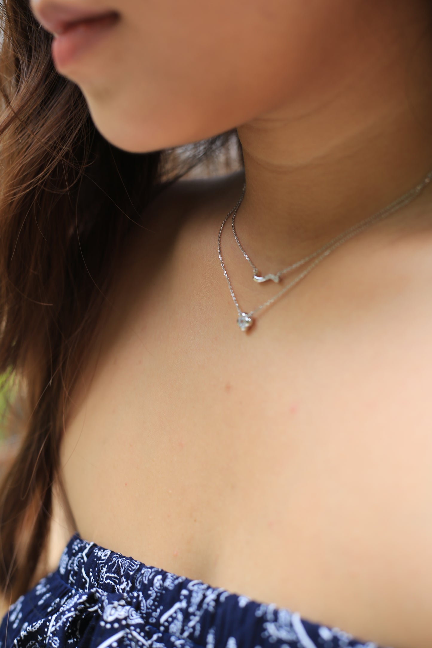 Double Line Silver Necklace